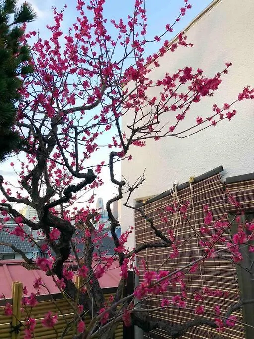 新宿新大久保駅日本和の宿 Tokyo Japan
